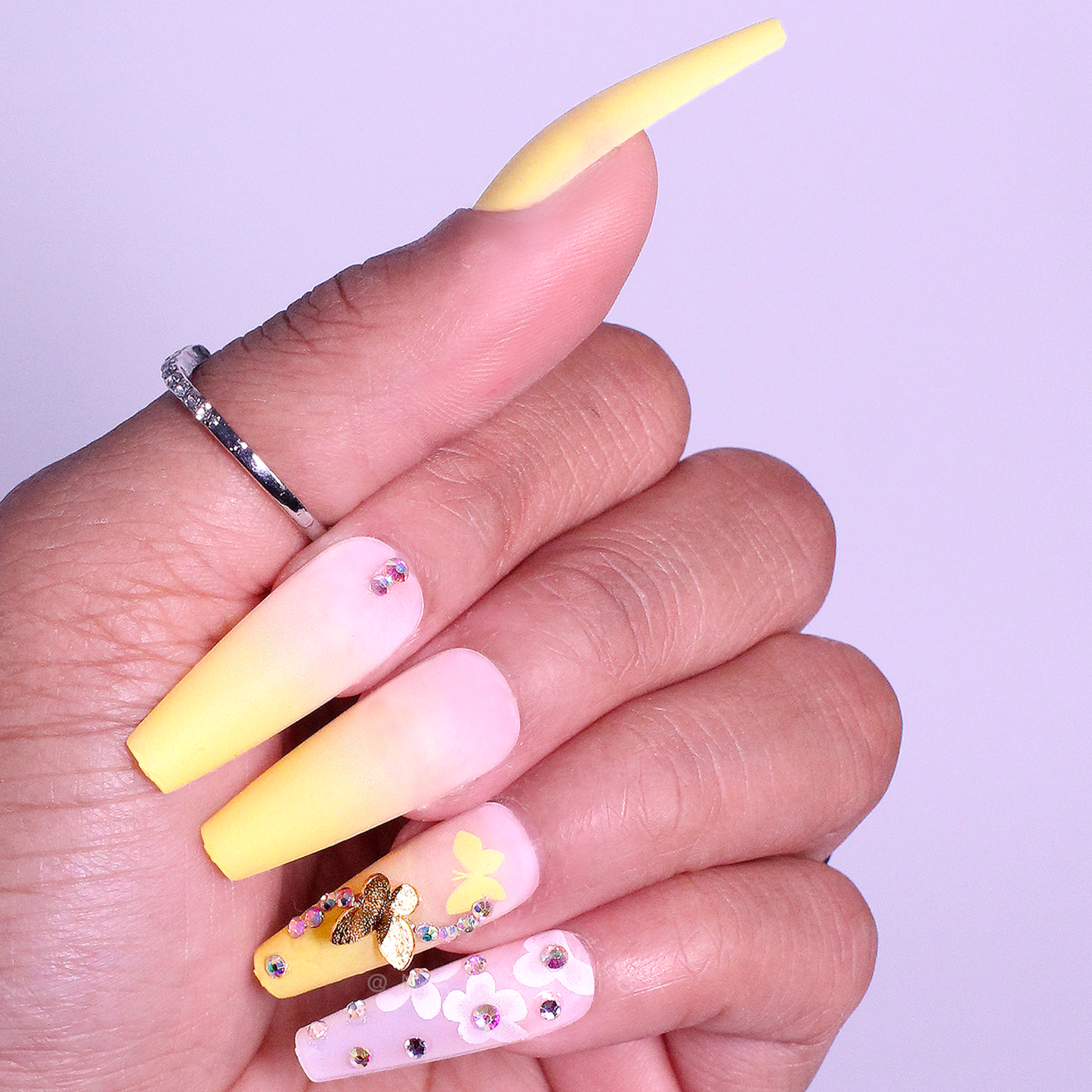 Butterfly Beauty - Press On Nails